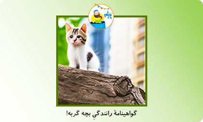 گواهینامه رانندگی بچه گربه