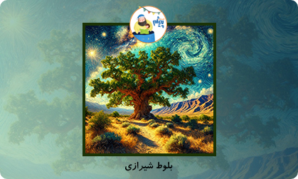 بلوط شیرازی